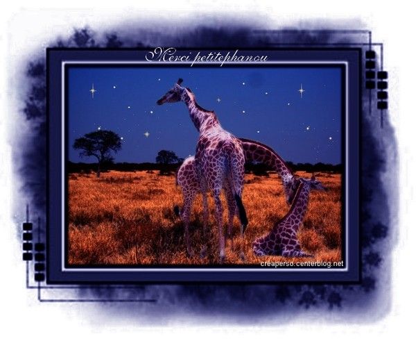 Cadeau pour petitephanou